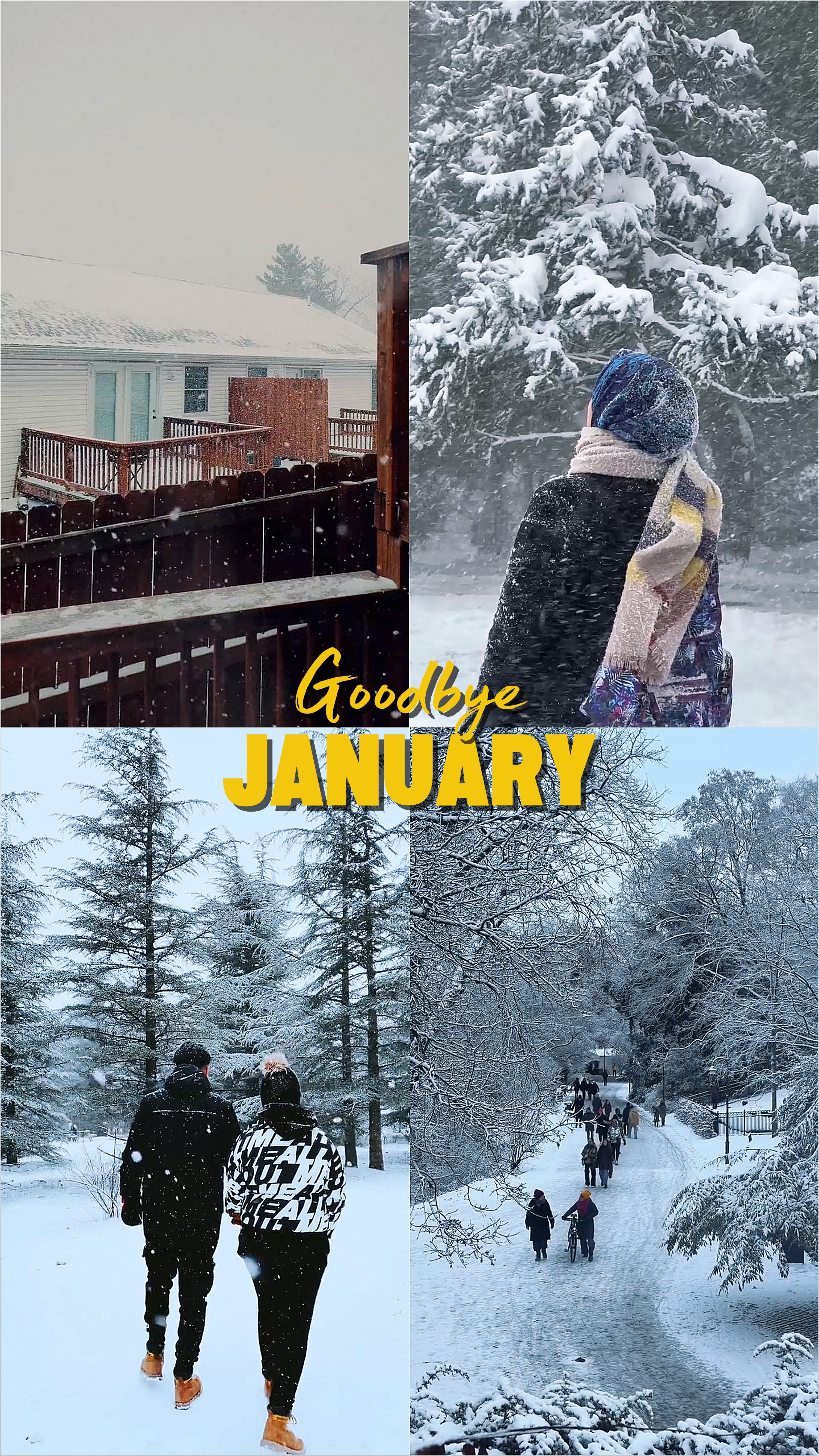 Goodbye January