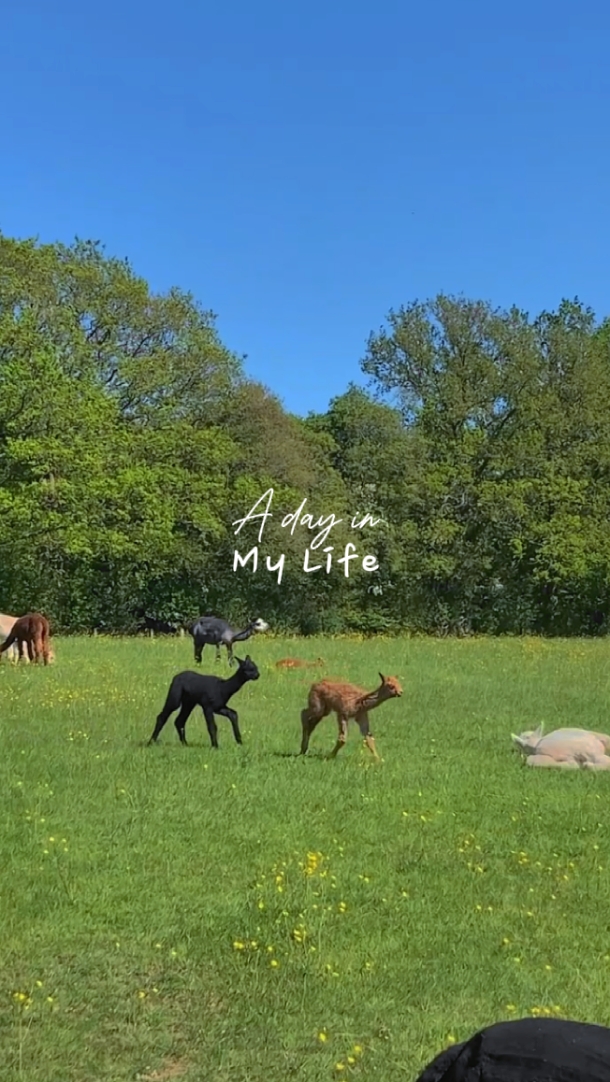 A DAY IN MY LIFE