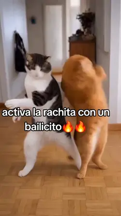 ecuatoriana 