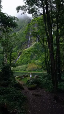 NATURE CINEMATIC