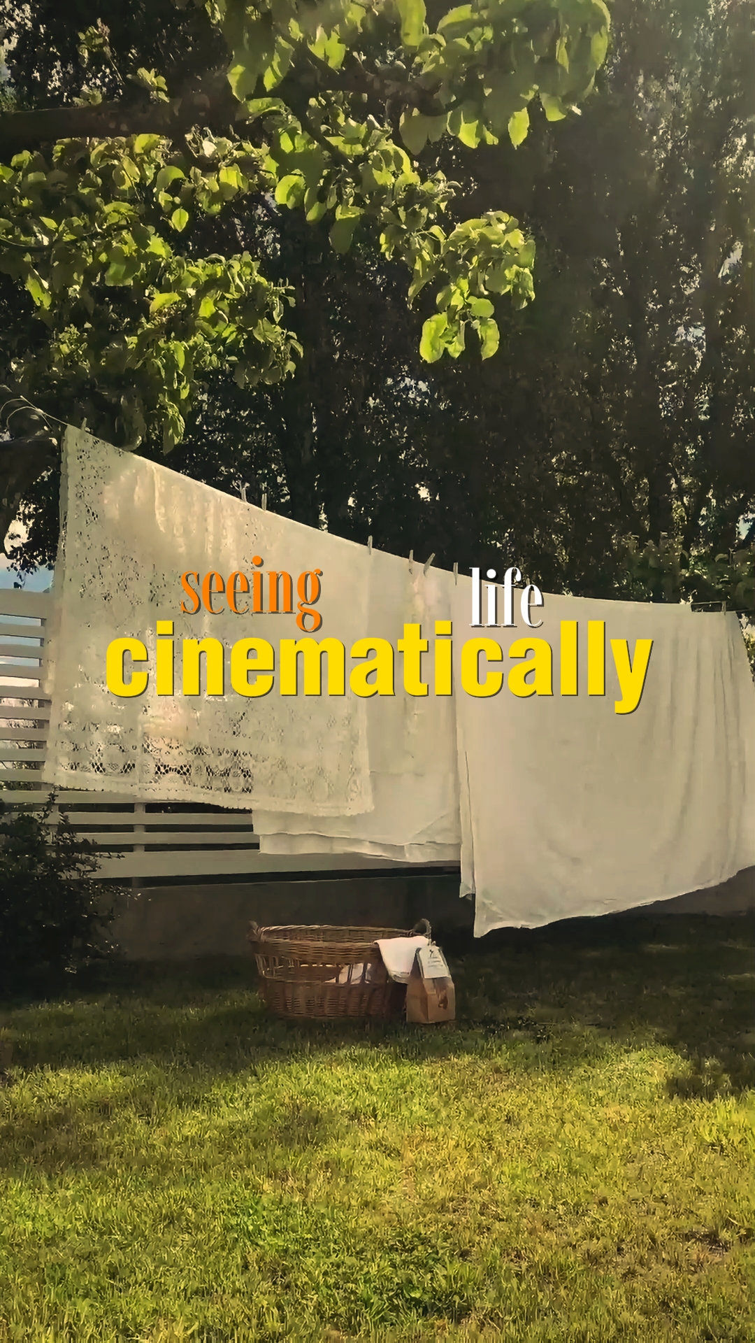 cinematic trend 