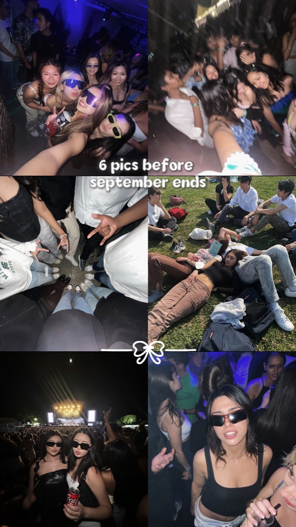 6 fotos