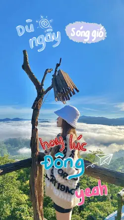 Mẫu du lịch 8 ảnh