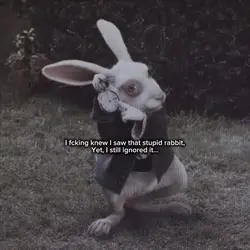 White rabbit