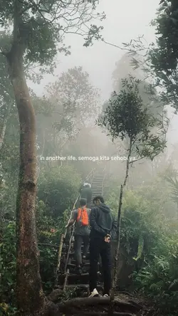 In another life