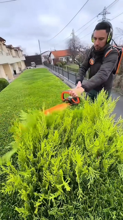 Berkebun