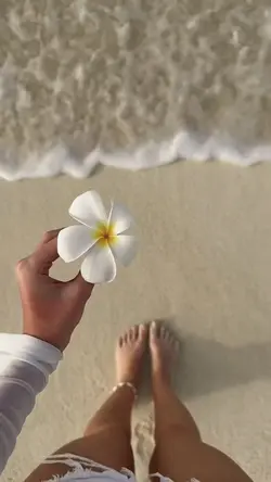 Beach cinematic