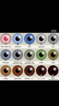 eyeee color