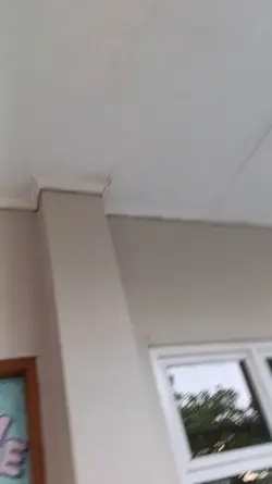 Daily vlog MPLS