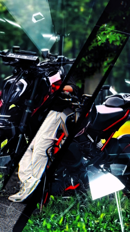 bike laver