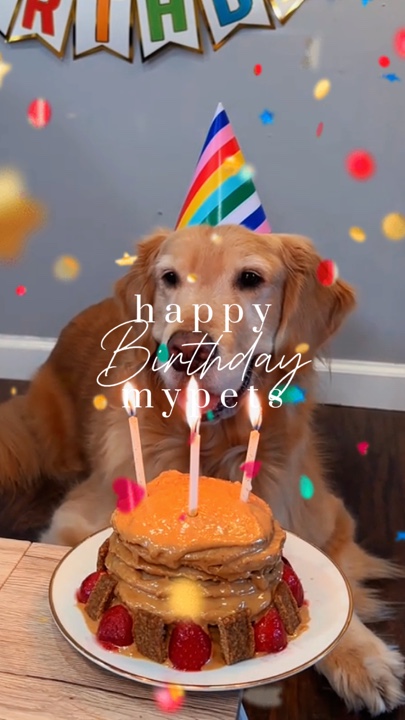 Birthday Pets
