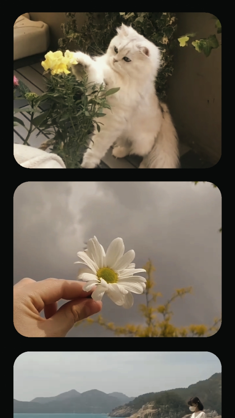 ROLLO DE FOTOS