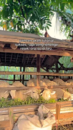 Rejeki gk iso ditiru