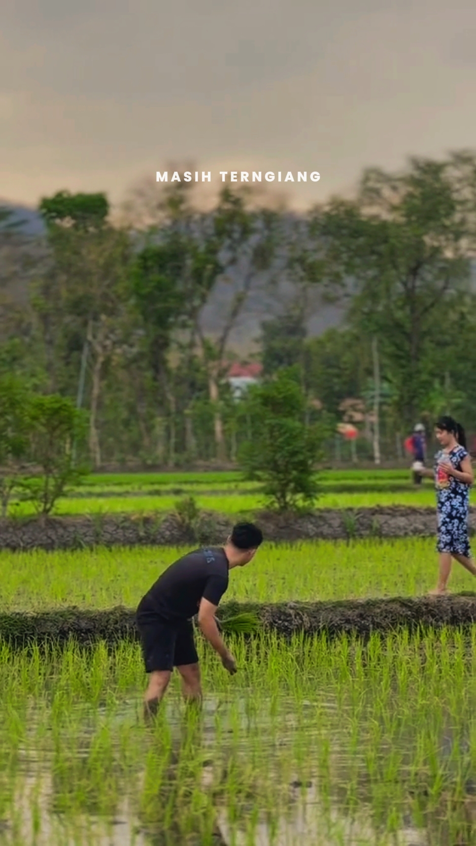masih terngiang