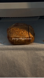 Modelo de padaria 
