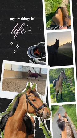 fav things in life
