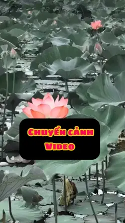  chuyển Cảnh Video 