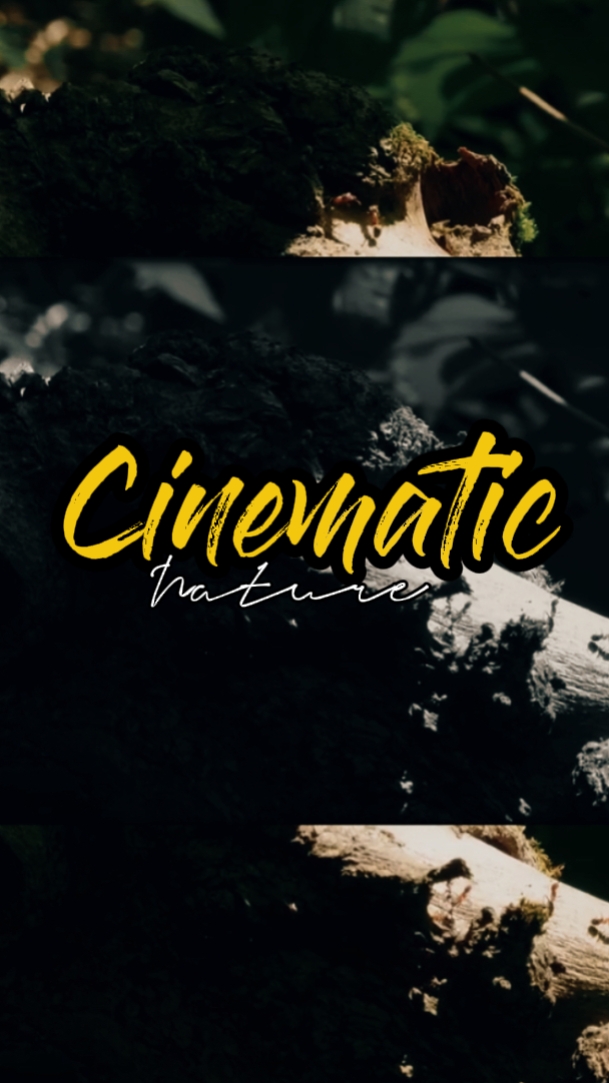 cinematic nature 