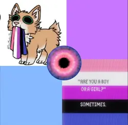 Genderfluid request
