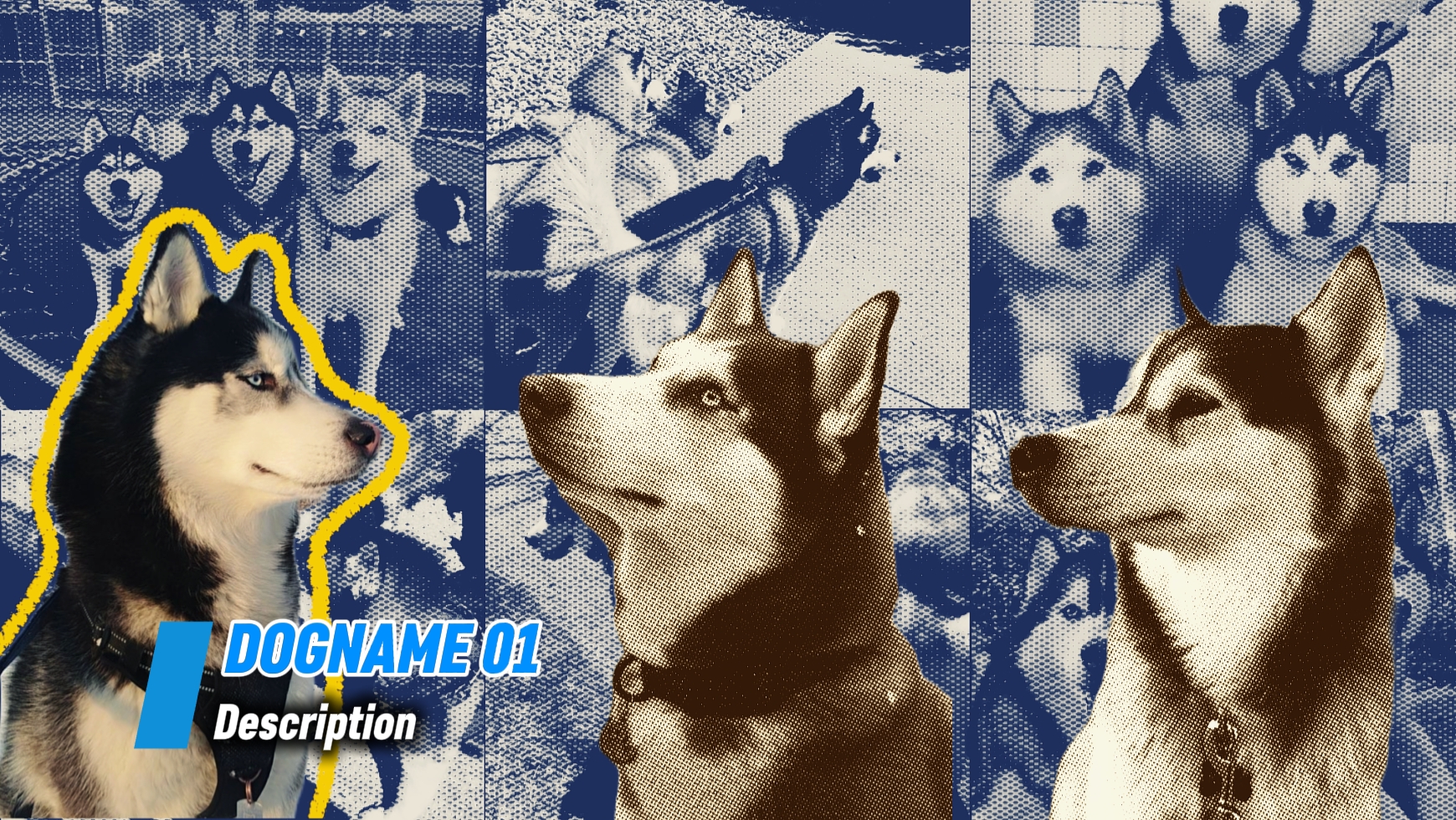 Intro 3 Hund