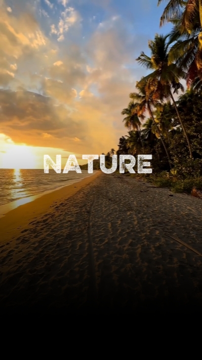 nature 6 clip