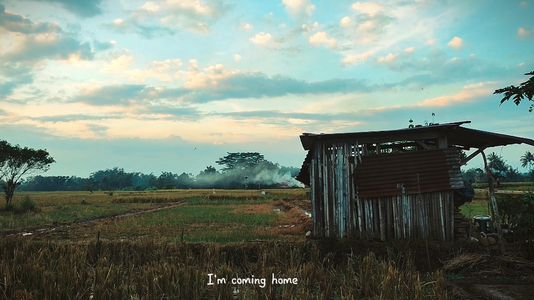 I'm coming home 