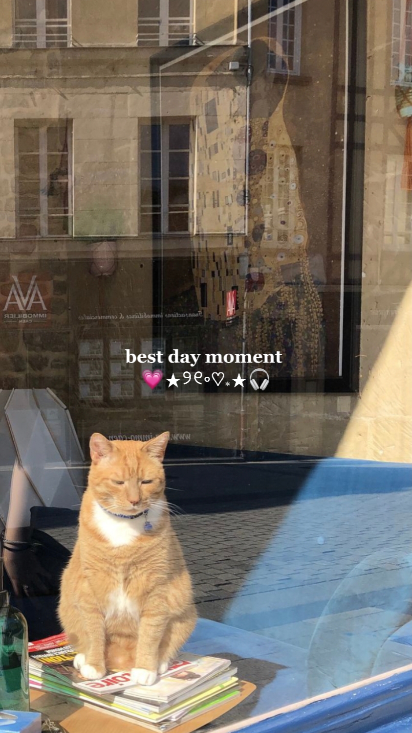 bestday moment 21vid