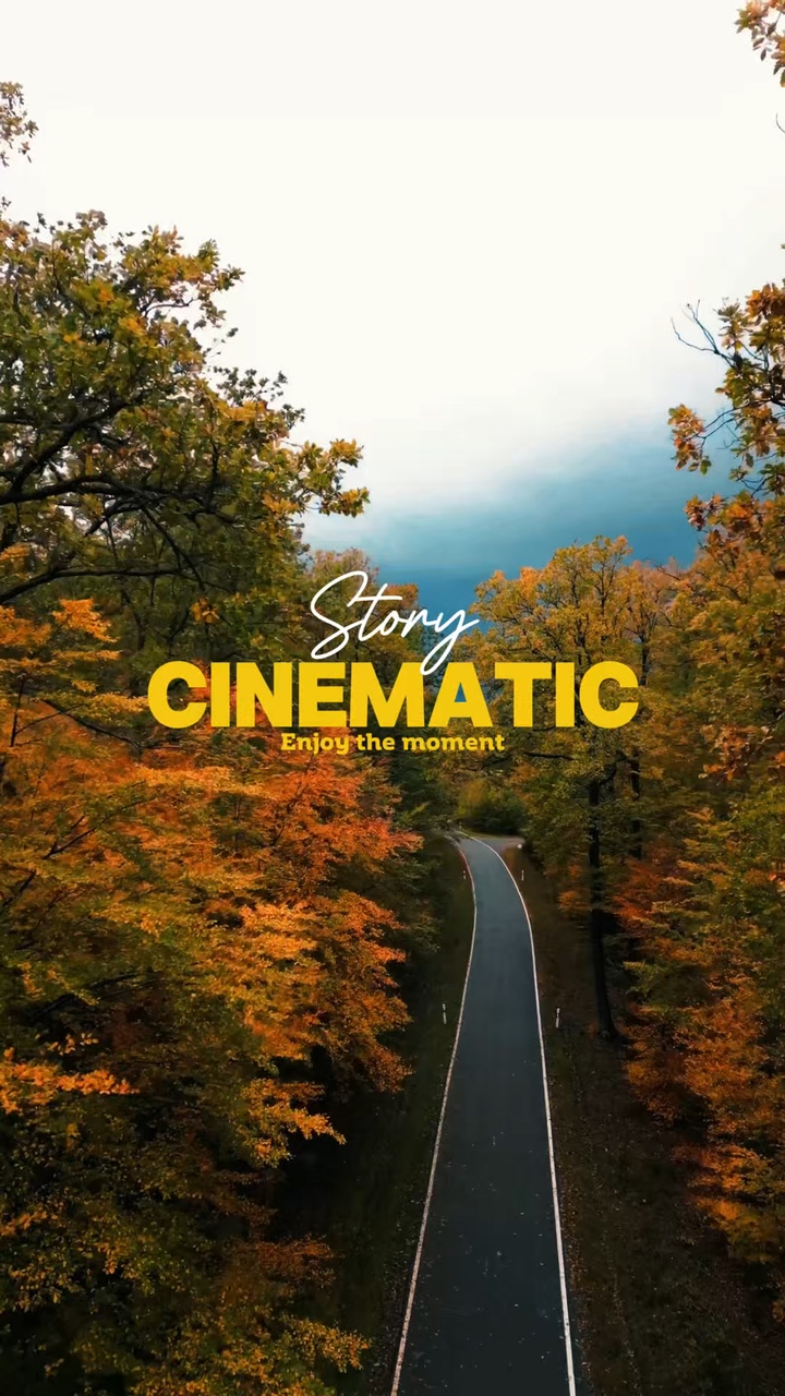Story Cinematic
