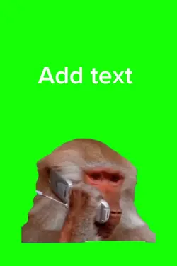 Calling 
