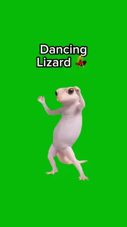 Dancing Lizard
