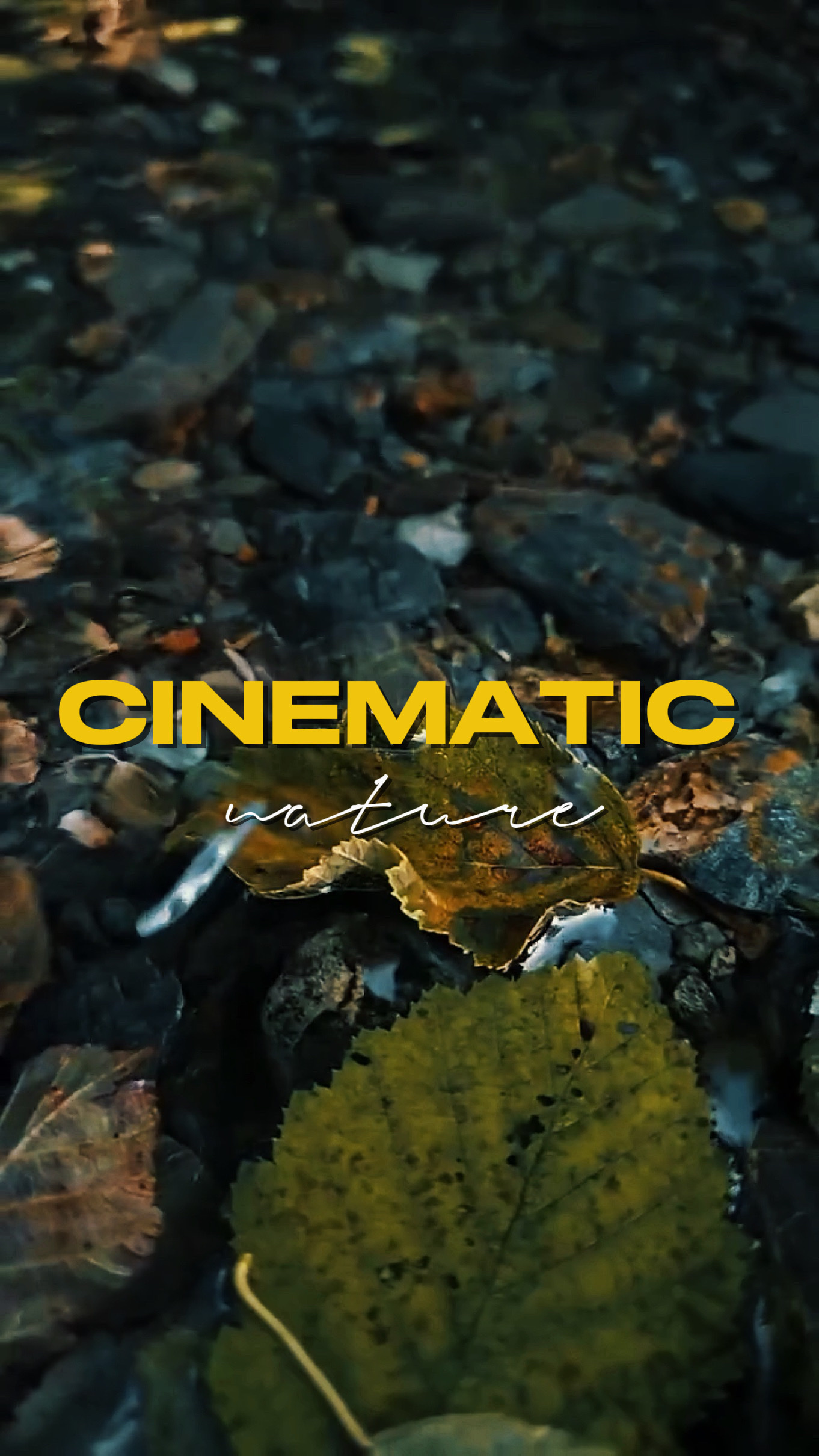 cinematic 