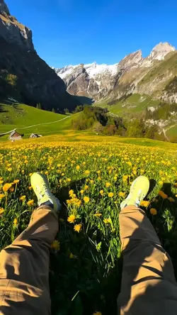 8 video nature