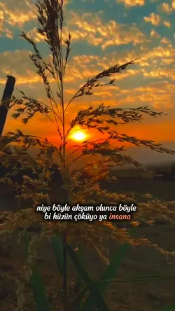 akşam şablonu