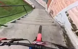 MTB REFLEX