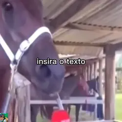 seubteyxixossksksksk