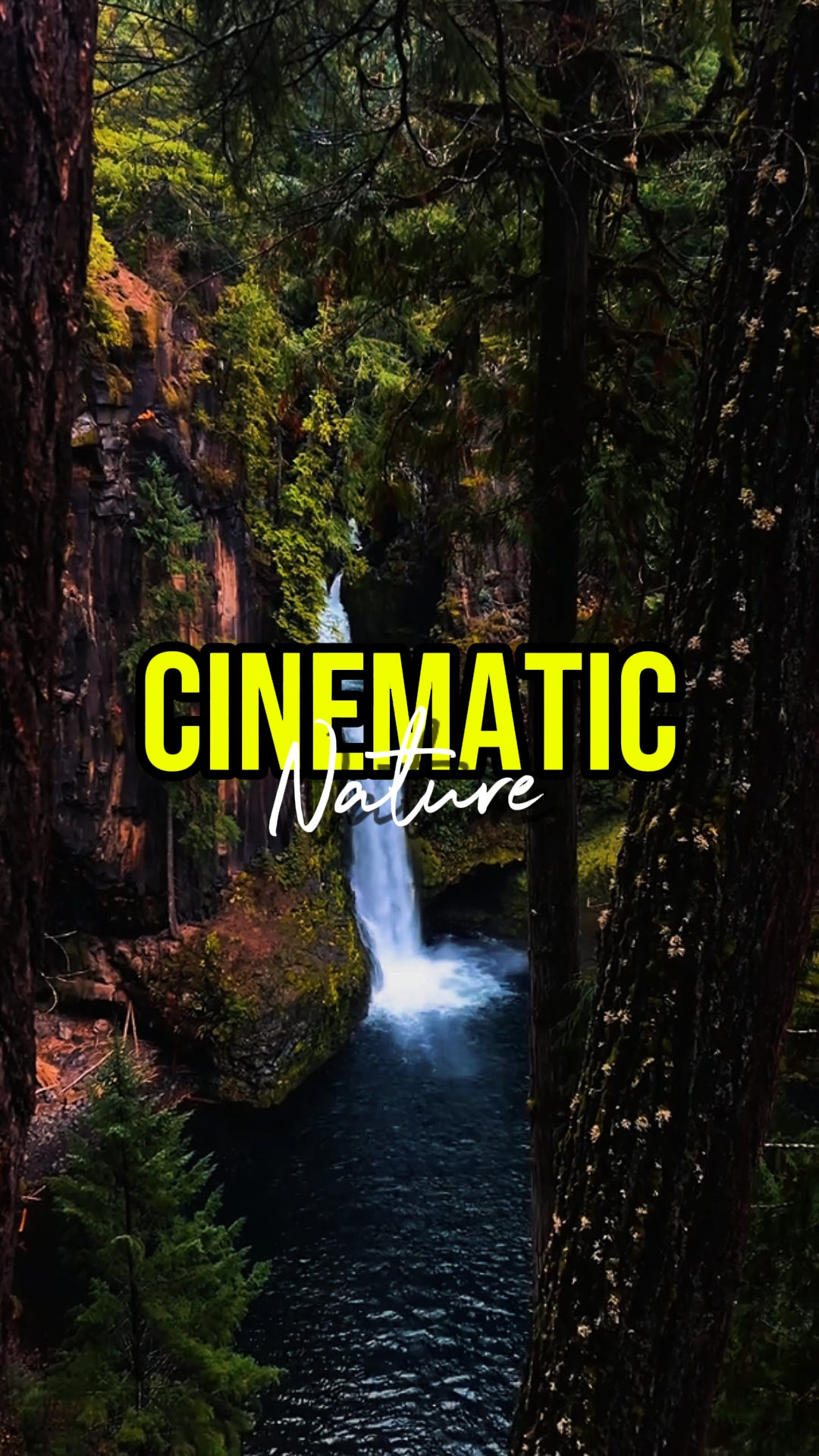 CINEMÁTICO