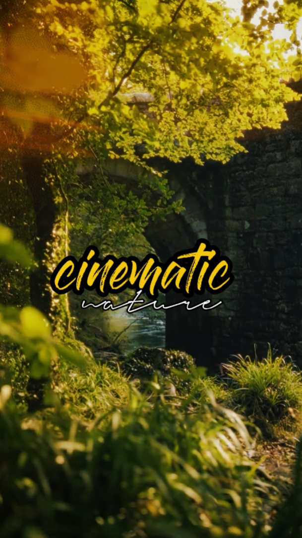 cinematic nature 