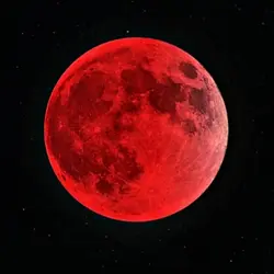 THE THEME IS RED