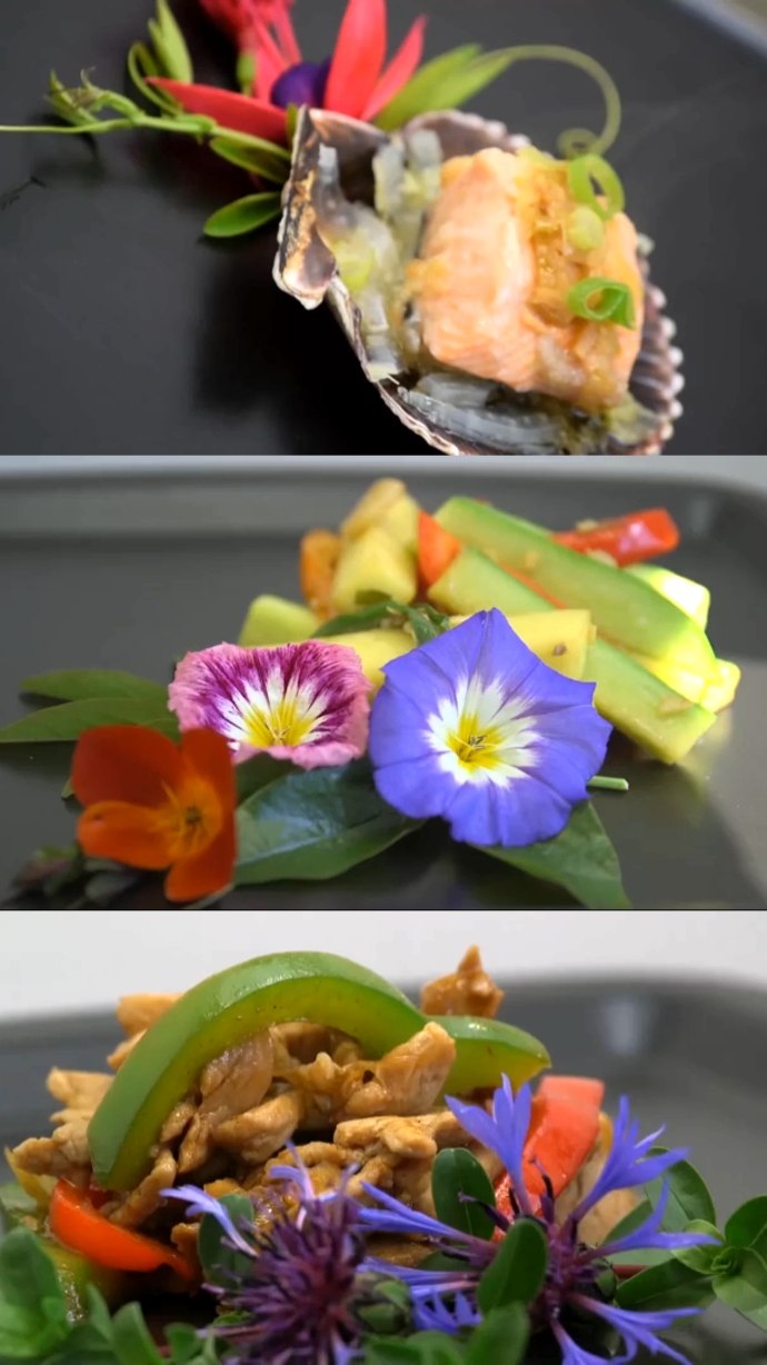 FOOD TEMPLATE |4