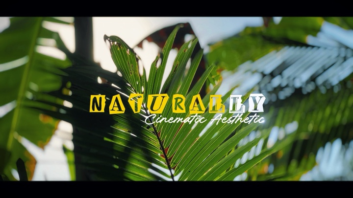 Cinematic Nature HD