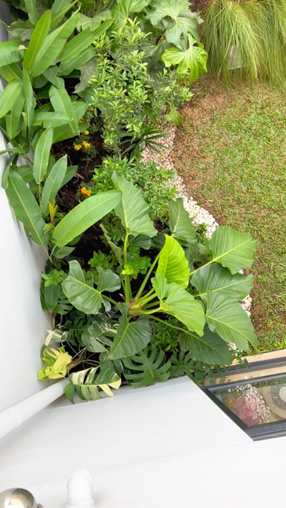 Mini Garden