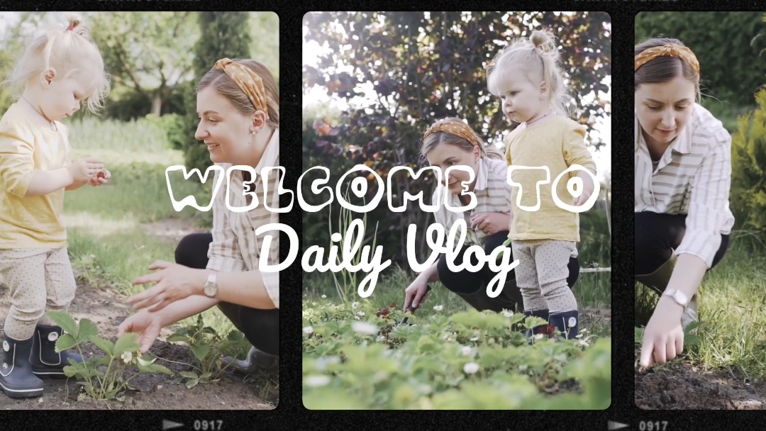 Daily Intro