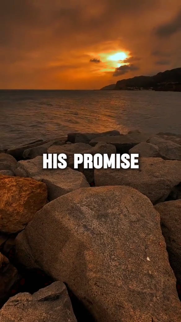 Su promesa