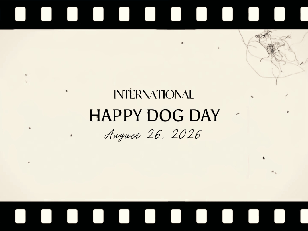 JOYEUSE JOURNÉE DU CHIEN 
