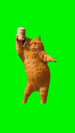 dancing cat