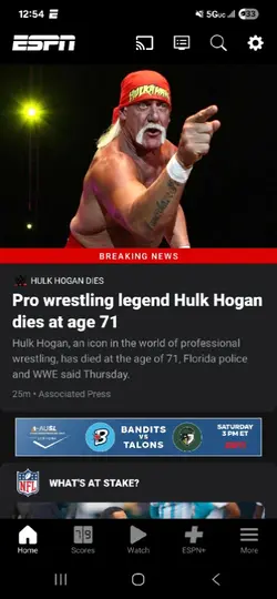 Viva la Hulk Hogan