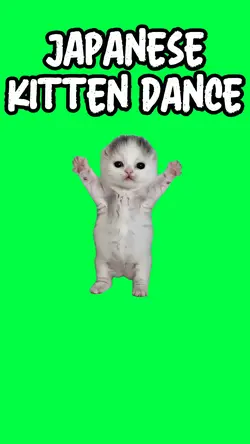 JAPANESE KITTEN MEME