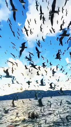 Curved slow motion