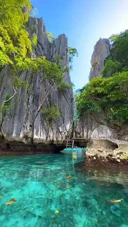 5 video or photo 