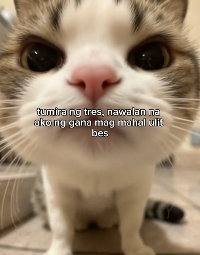 tumira ng tres 